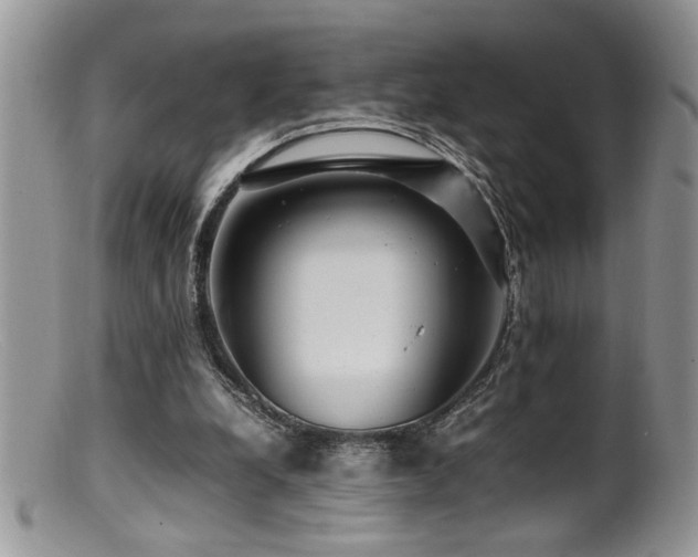 X0000099510248200805151507