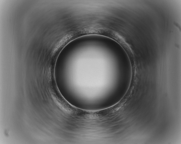 X0000099510250200805151507