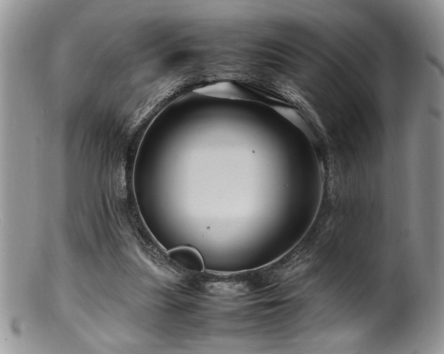 X0000099510251200805151507