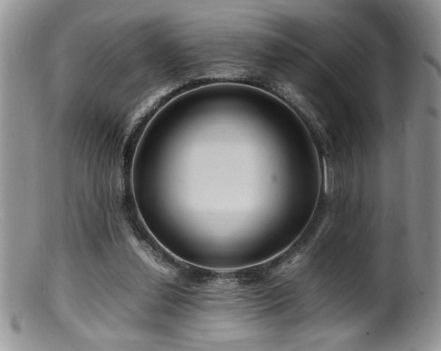 X0000099510252200805151507