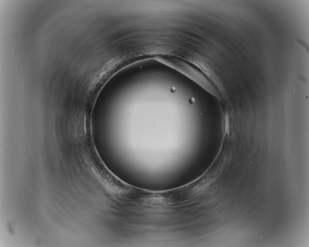 X0000099510253200805151507