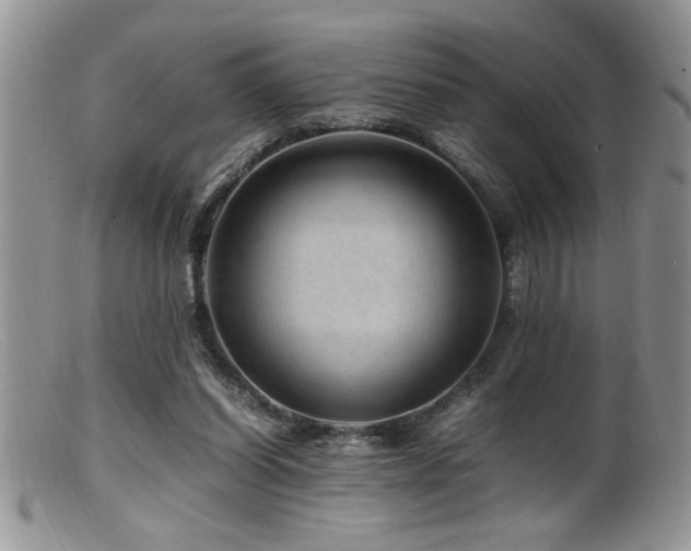 X0000099510254200805151507