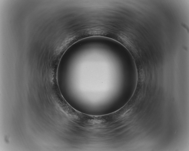 X0000099510255200805151507