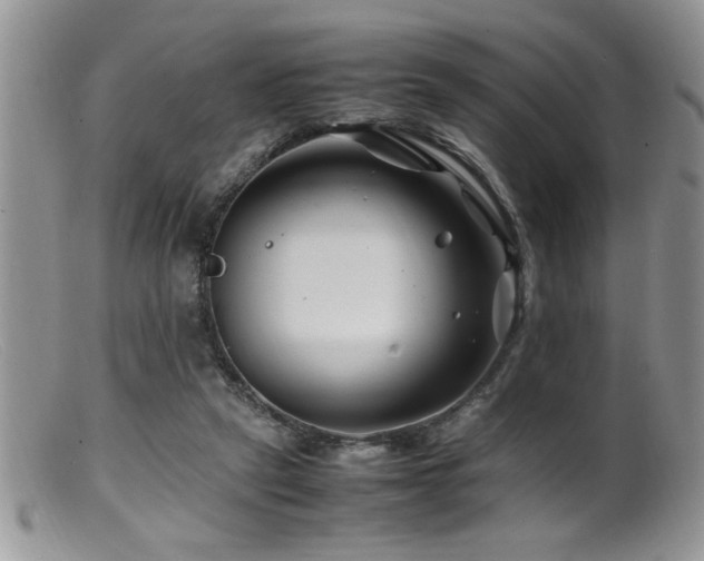 X0000099510257200805151507