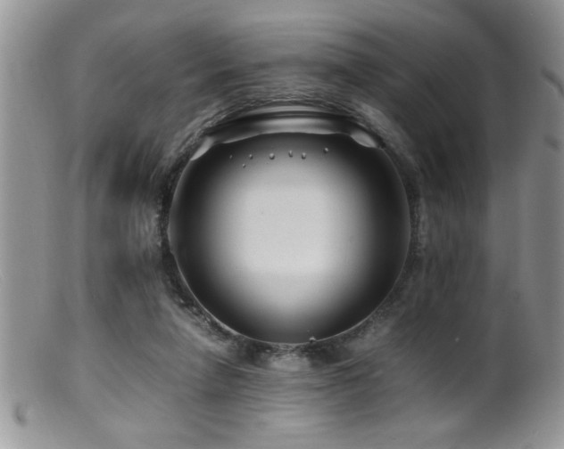 X0000099510258200805151507