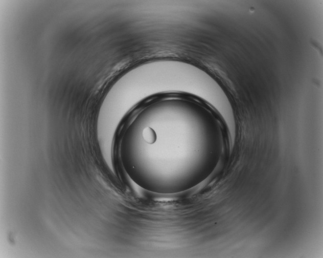 X0000099510260200805151507