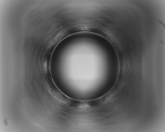 X0000099510262200805151507
