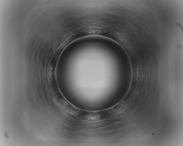 X0000099510263200805151507