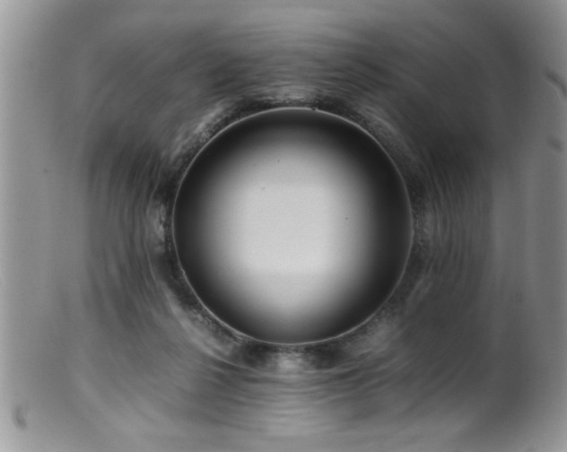 X0000099510264200805151507