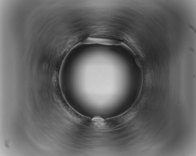 X0000099510265200805151507