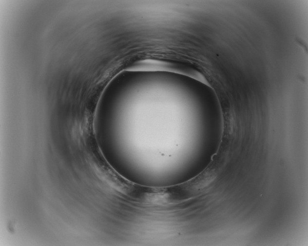 X0000099510266200805151507