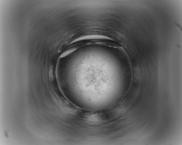 X0000099510267200805151507