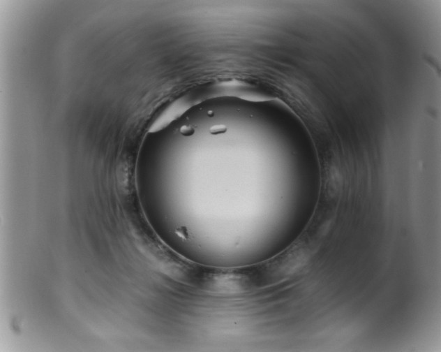 X0000099510268200805151507