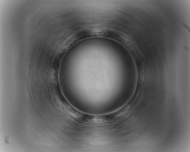 X0000099510270200805151507