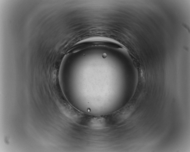 X0000099510271200805151507
