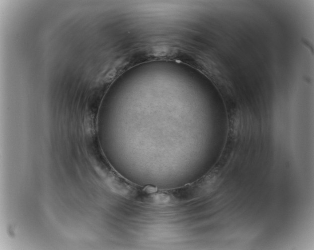 X0000099510272200805151507
