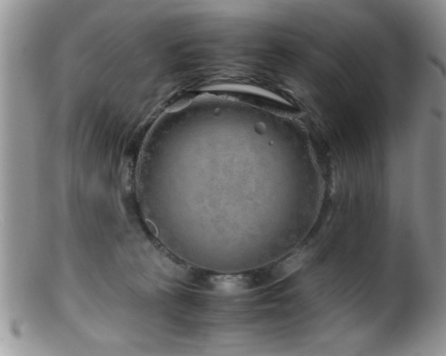 X0000099510273200805151507