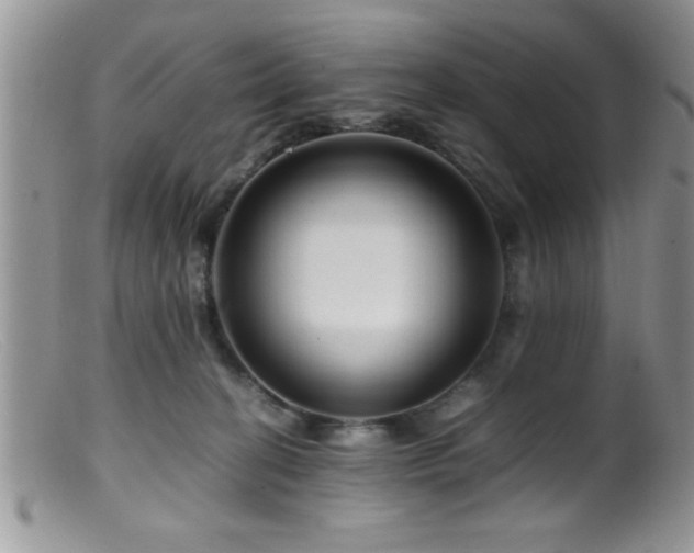 X0000099510274200805151507