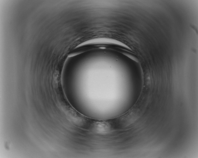 X0000099510275200805151507