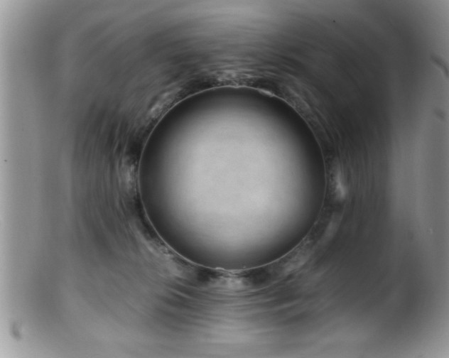 X0000099510276200805151507