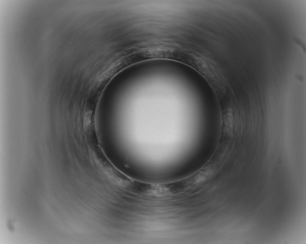 X0000099510278200805151507