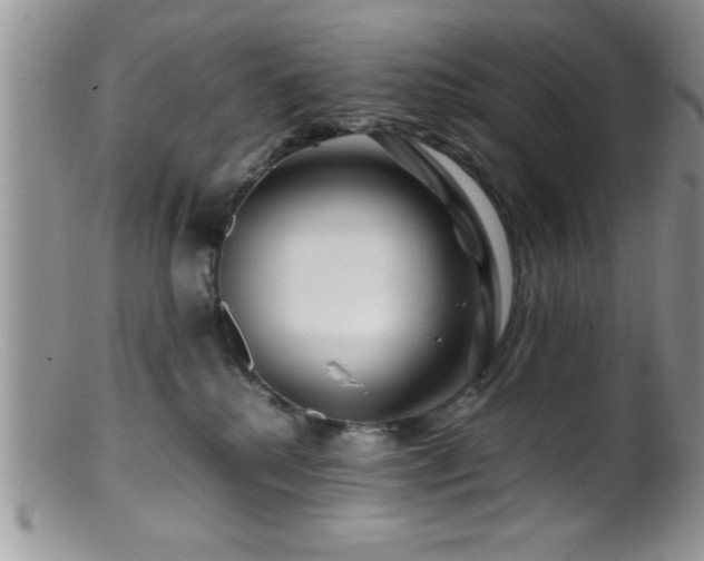 X0000099510280200805151507