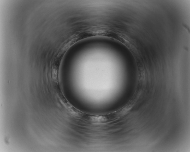 X0000099510281200805151507