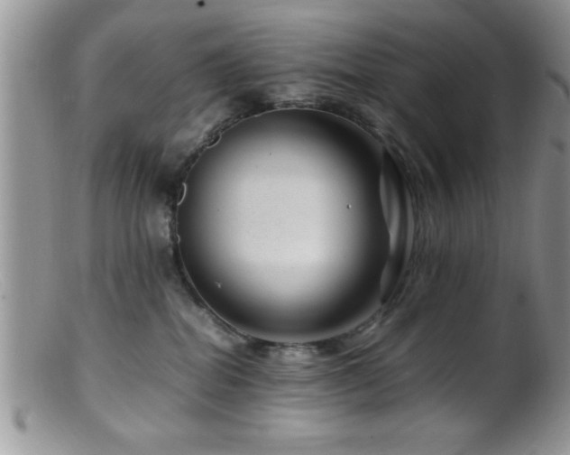 X0000099510282200805151507