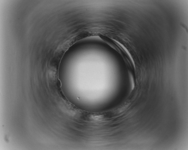 X0000099510283200805151507