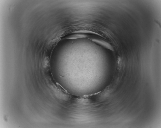 X0000099510284200805151507