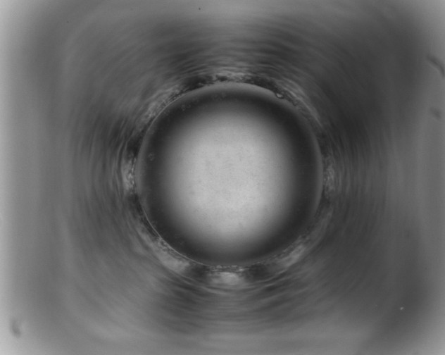 X0000099510285200805151507
