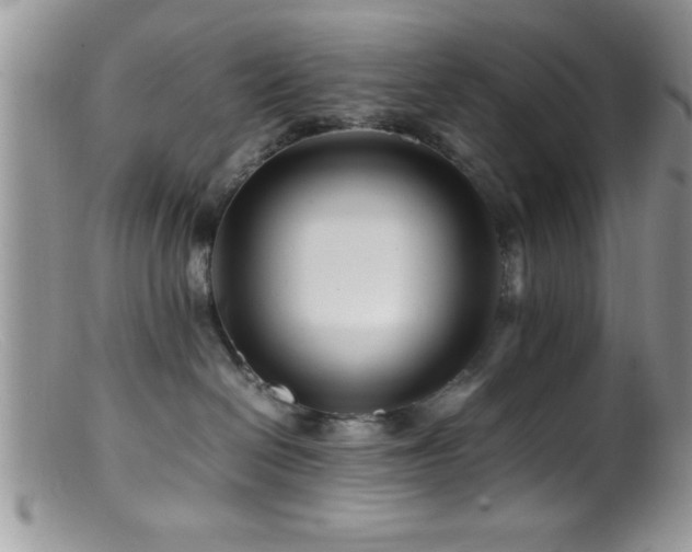 X0000099510286200805151507