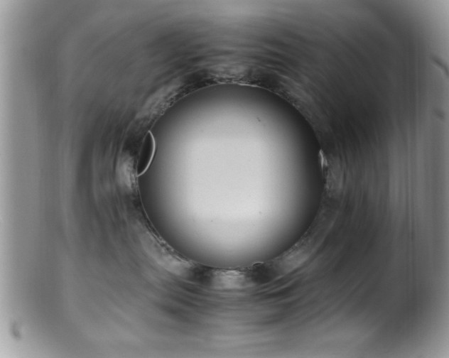 X0000099510287200805151507