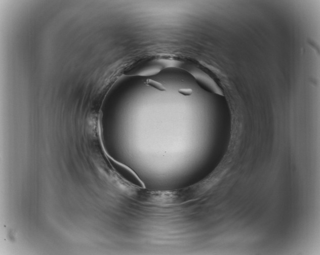 X0000099510288200805151507