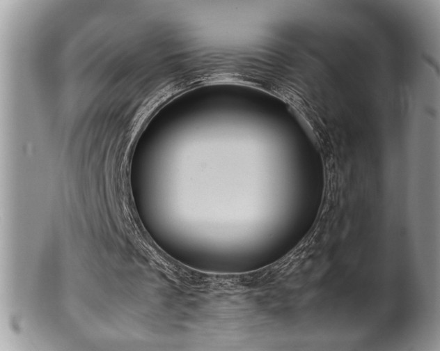 X0000099510289200805151507