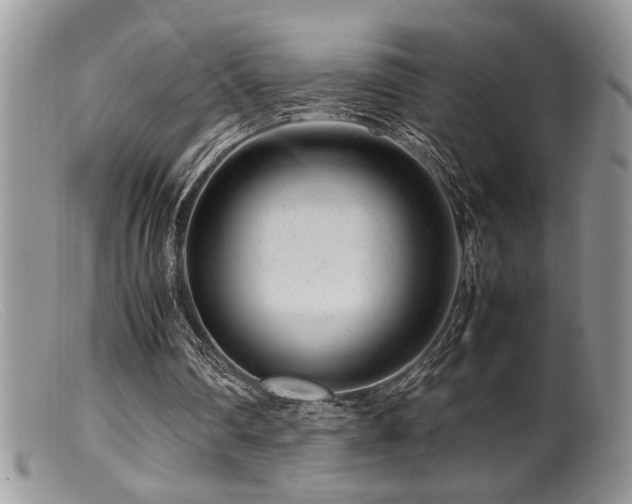 X0000099510290200805151507