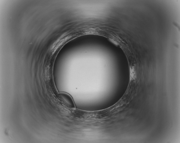 X0000099510291200805151507