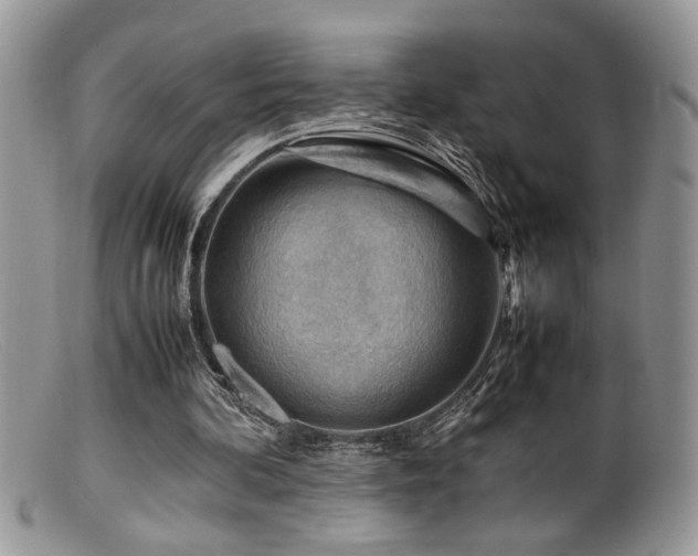 X0000099510292200805151507