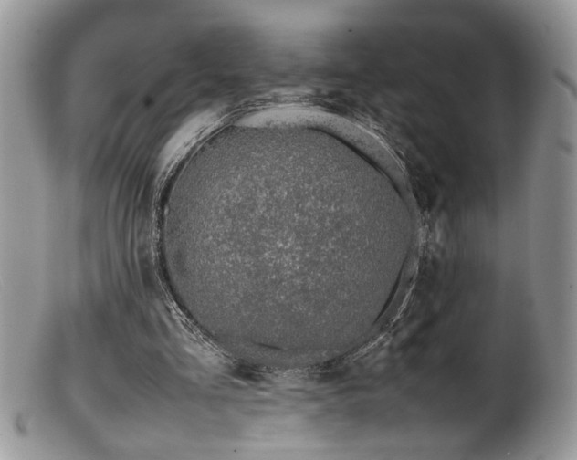 X0000099510293200805151507