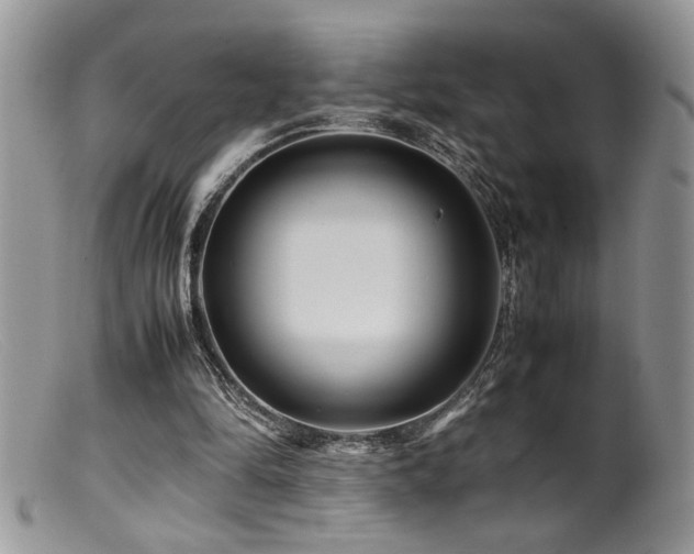 X0000099510294200805151507