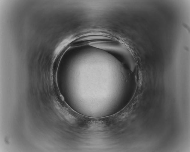 X0000099510296200805151507