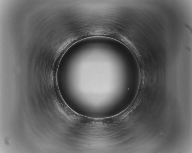 X0000099510298200805151507