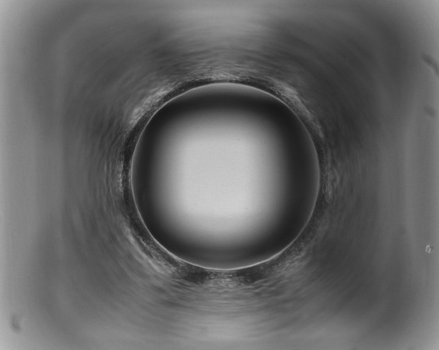 X0000099510299200805151507