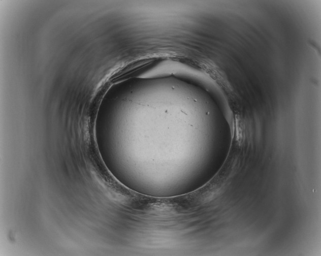 X0000099510300200805151506