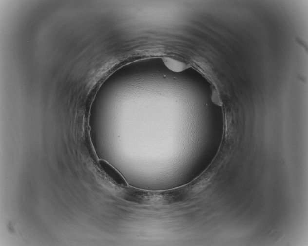 X0000099510301200805151506
