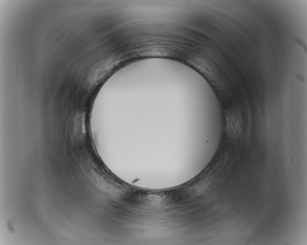 X0000099510302200805151506
