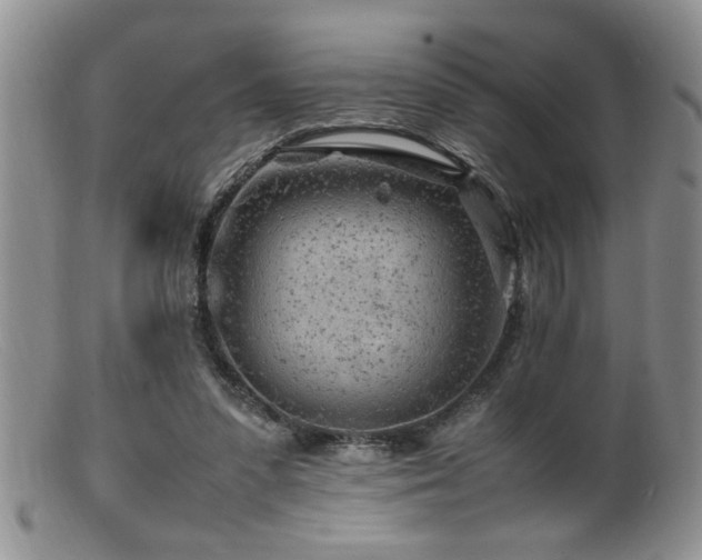 X0000099510303200805151506