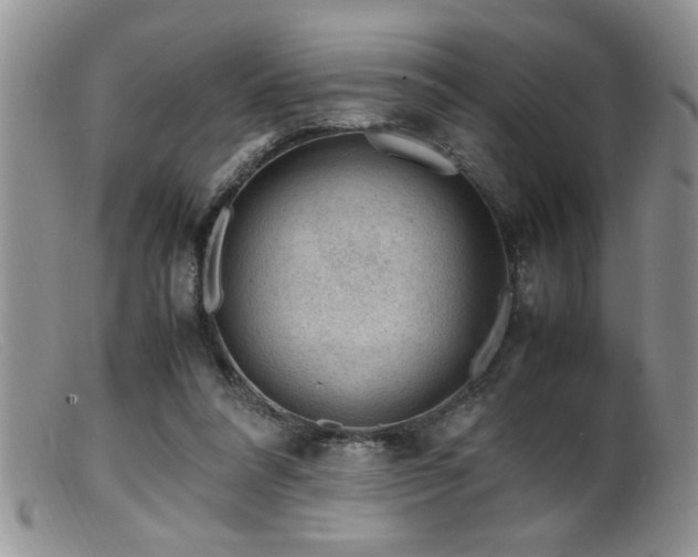 X0000099510304200805151506