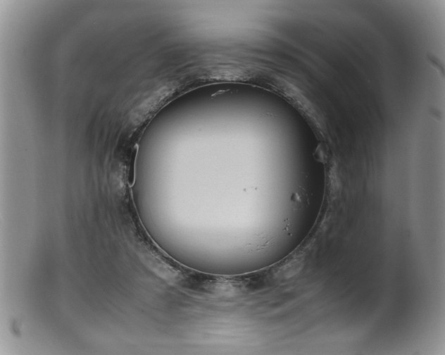 X0000099510305200805151506