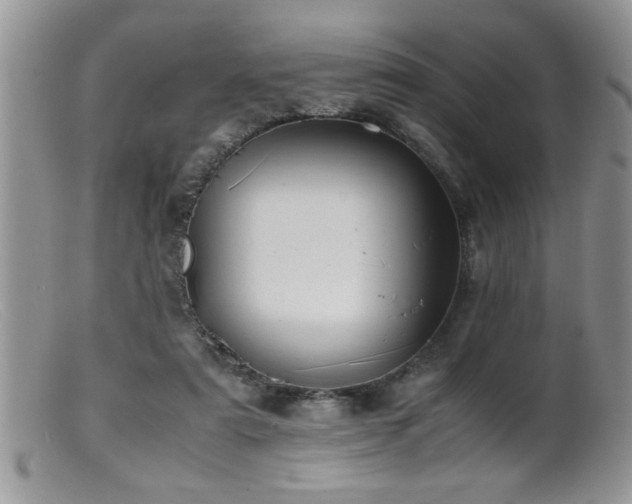 X0000099510307200805151506